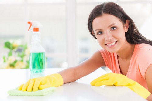 Professional stain removal in Aldgate for carpets and upholstery