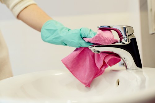 Professional carpet cleaner working on a domestic property