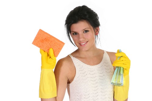 Image showing a carpet cleaning concern being documented