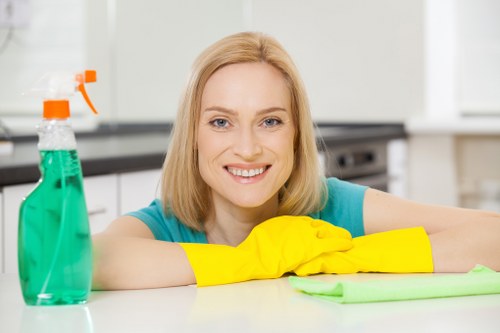 Professional pet stain odour removal in Aldgate on a carpeted living room floor