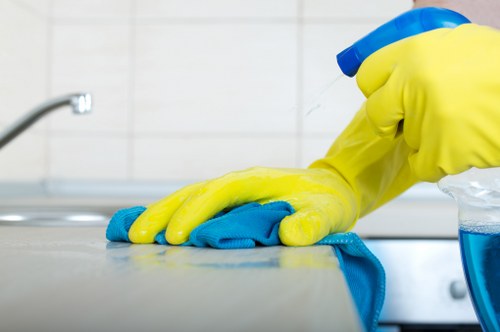 Fresh and clean interior after pet stain odour removal in Aldgate