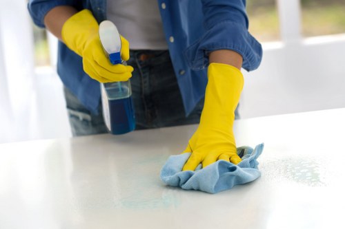 Insurance and safety focused carpet cleaning service