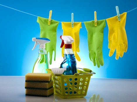 Enzyme cleaning treatment for pet odour and stain removal in Aldgate