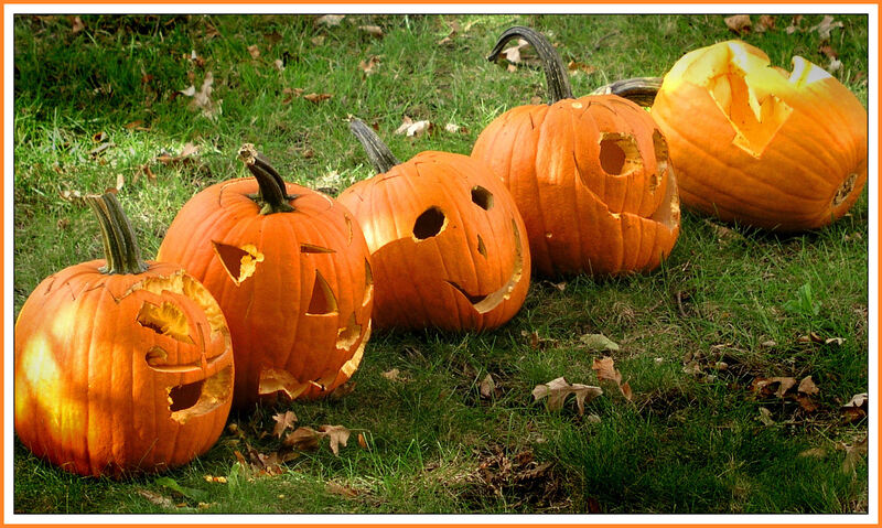 Regular cleaning Clean